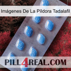 Imágenes De La Píldora Tadalafil viagra3